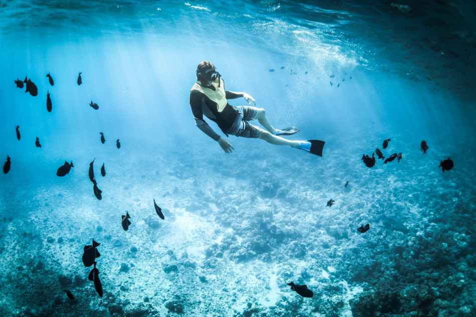 photo of a person snorkeling